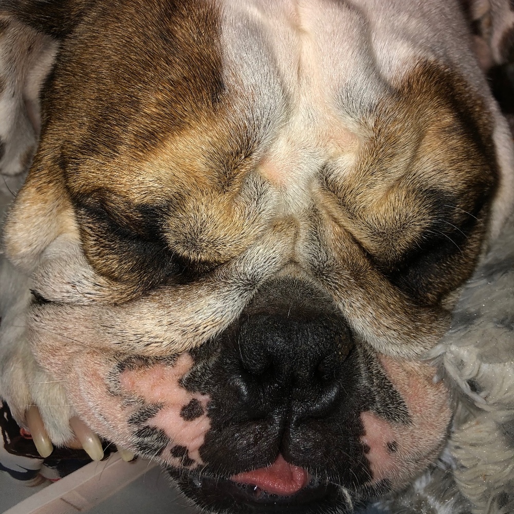 Meet your Posher, Kathy